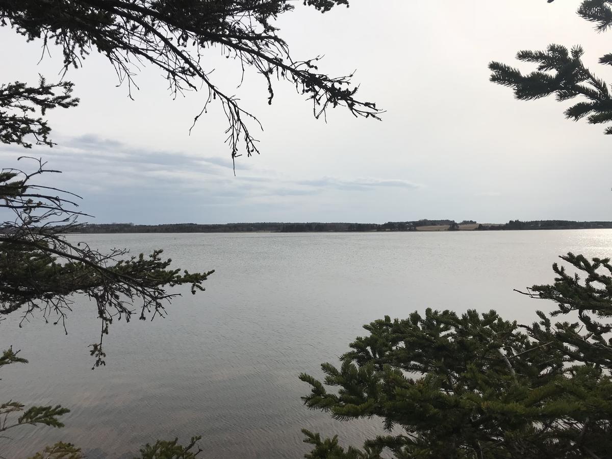 By The Bay Cottages Stanhope Bagian luar foto