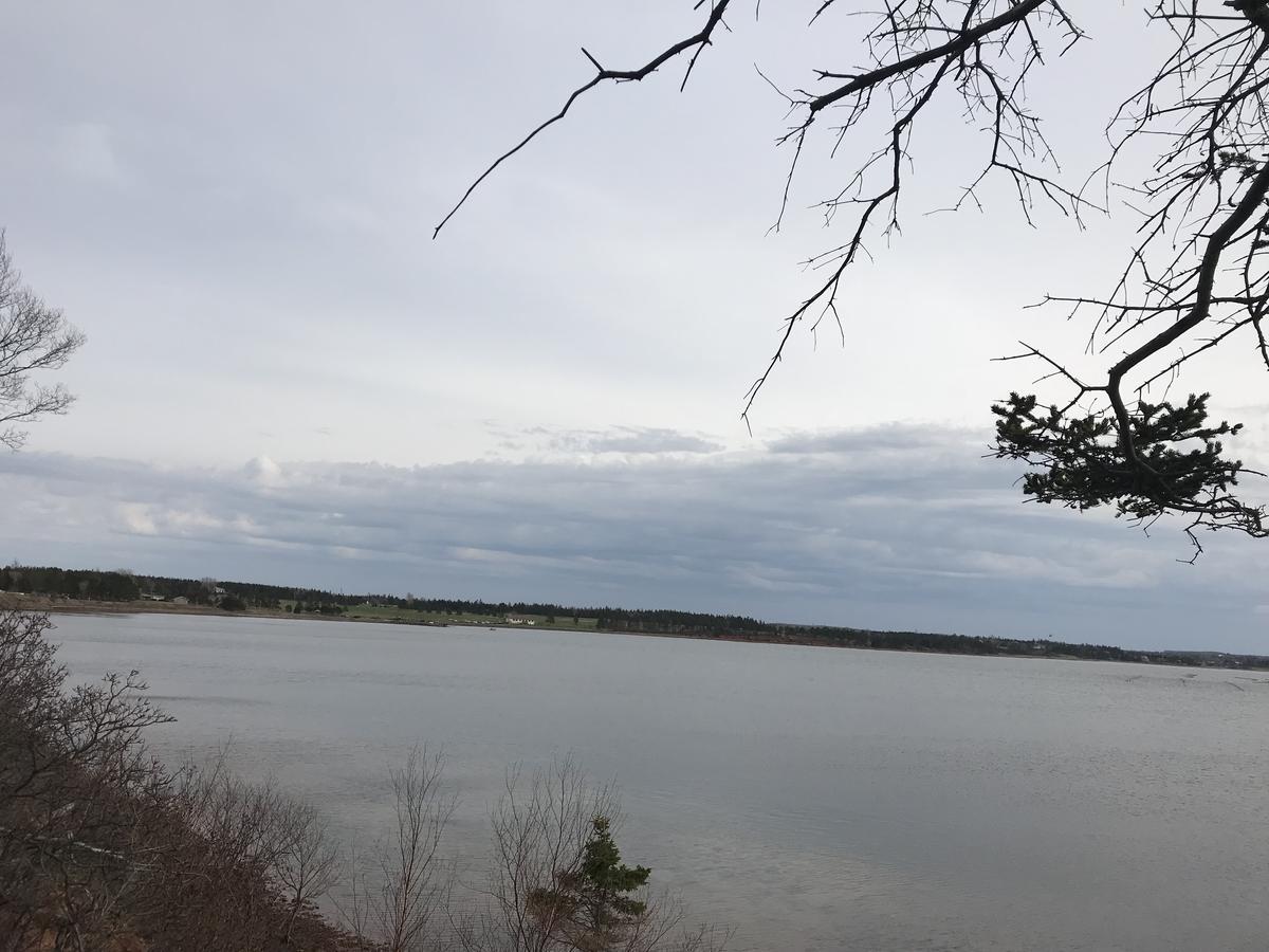 By The Bay Cottages Stanhope Bagian luar foto